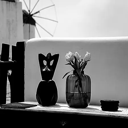 She Mykonos - The Residency Ξενοδοχείο με διαμερίσματα Mykonos Town